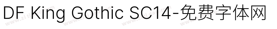 DF King Gothic SC14字体转换
